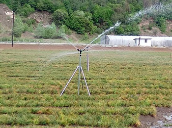 靖宇縣特色種植為春耕添彩