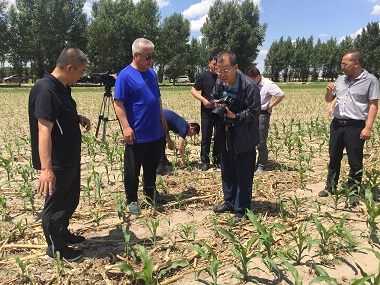 省農(nóng)機局局長鄭建東 再次來雙遼對保護性耕作進行調(diào)研(圖文)