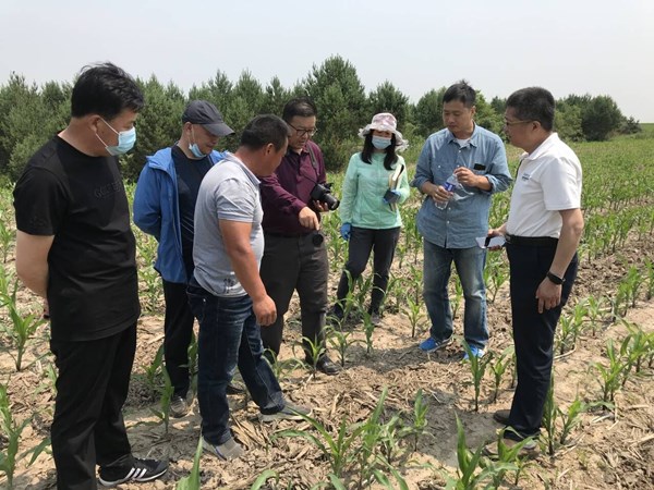 專家"巡診把脈開良方"  助力保護(hù)性耕作技術(shù)推廣