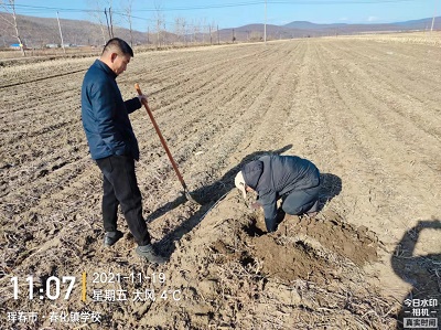 琿春市農(nóng)機推廣站開展深松整地補助地塊抽查工作